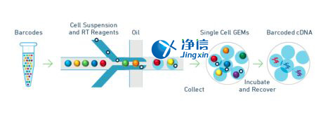 中國人自己的微流控單細胞測序儀來了！_微流控Drop-seq,微流控技術