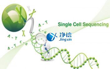 中國人自己的微流控單細胞測序儀來了！_微流控Drop-seq,微流控技術