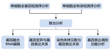 單細(xì)胞轉(zhuǎn)錄組測序的方法原理及應(yīng)用